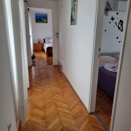 Apartment Milenko *