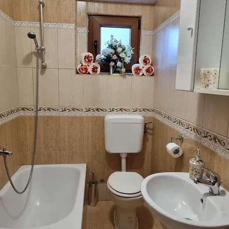 Milenko Apartment *