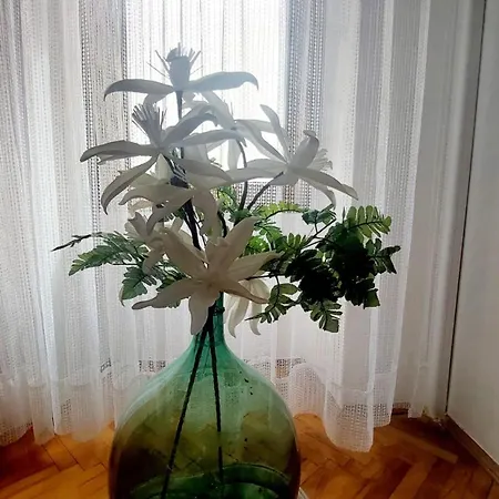 Milenko Appartement Lubenice